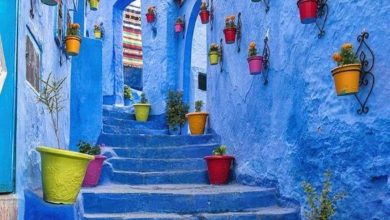 صورة المغرب.. يسجل 11,8 ملايين سائح