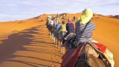 صورة أرباب ومهنيي الفنادق يتنفسون..  بعدما أكدت وزارة الصحة ان المغرب خال من مرض “جدري القرود”