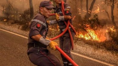 صورة استراتيجية المغرب في مواجهة الحرائق ادت إلى السيطرة على معظمها
