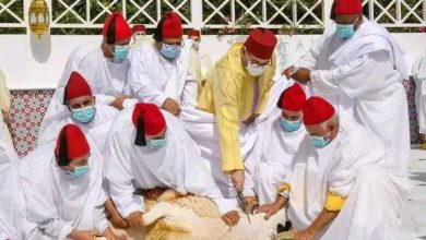 صورة أمير المؤمنين يؤدي صلاة عيد الأضحى ويقوم بنحر أضحية العيد