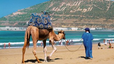 صورة مداخيل القطاع السياحي لسنة 2022 تسجل ارتفاعا بنسبة 120 بالمائة مقارنة مع سنة 2019