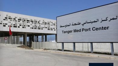 صورة ميناء طنجة المتوسط..استيراد ما يقارب 5 آلاف رأس من العجول الموجهة للذبح