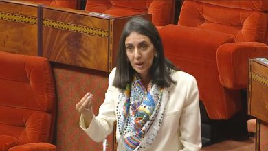 صورة السيدة نادية فتاح.. تستعرض الحصيلة الإيجابية للشراكة الاستراتيجية بين المغرب ومنظمة التعاون الاقتصادي والتنمية