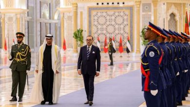 صورة استقبال رسمي لجلالة الملك من طرف رئيس دولة الإمارات العربية 