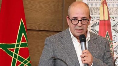 صورة أحمد البواري : ميزانية الاستثمار في قطاعات الفلاحة والتنمية القروية و المياه والغابات والصيد البحري تفوق 17 مليار درهم “2025”