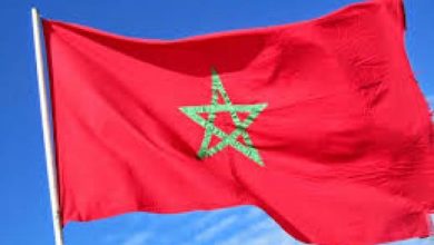 صورة البرازيل.. تعيين المغرب نائبا لرئيس الجمعية العامة السنوية للمجلس الدولي.. للمعالم والمواقع
