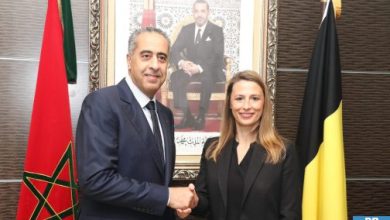 صورة عبد اللطيف حموشي .. يستقبل المديرة العامة لأمن الدولة بمملكة بلجيكا