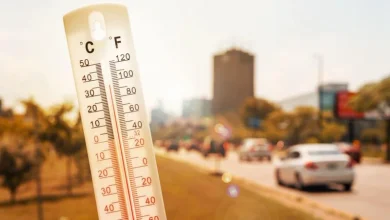 صورة طقس حار نسبياً وضباب محلي اليوم السبت
