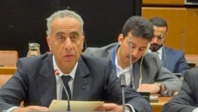 صورة حموشي يقود وفدًا أمنيًا مغربيًا رفيع المستوى إلى فيينا لتعزيز التعاون الدولي في مكافحة الإرهاب