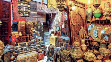 صورة لحسن السعدي يكشف ..توسع هائل في التكوين المهني لقطاع الصناعة التقليدية