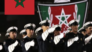 صورة الذكرى الـ 69 لتأسيس الأمن الوطني.. جهود متواصلة لحماية الوطن والمواطنين وتدعيم الإحساس بالأمن