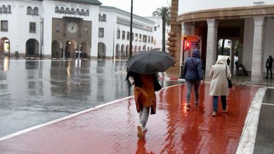 صورة الأرصاد الجوية تحذر ..زخات رعدية قوية وبرد ورياح اليوم الاثنين بعدة مناطق بالمملكة