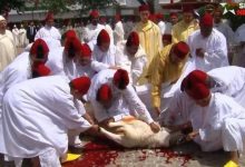 صورة صاحب الجلالة يؤدي صلاة عيد الأضحى المبارك بمسجد الحسن الثاني بتطوان ويتقبل التهاني بهذه المناسبة السعيدة