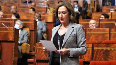 صورة السياحة المغربية تحقق أرقاماً قياسية في 2025 ..وعمور تؤكد استمرار زخم النمو