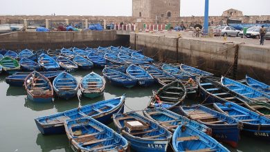 صورة الصويرة تستضيف مؤتمر مدن اليونسكو الإبداعية 2026 ..إنجاز تاريخي للمدينة والثقافة الأفريقية العربية