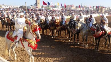 صورة الجديدة ..تحتضن موسم مولاي عبد الله أمغار بمشاركة 120 سربة “تبوريدة” وأربعة ملايين زائر متوقع.