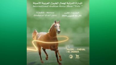 صورة المغرب .. يستضيف بطولة “Title Show” العالمية لجمال الخيول العربية الأصيلة بالجديدة