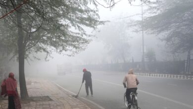 صورة النشرة الجوية ..طقس بارد نسبياً وسحب وضباب محلي الجمعة