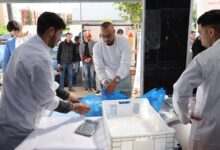 صورة سلا الجديدة تحتضن “الحوت بثمن معقول” .. تعزيز العرض السمكي بأسعار تنافسية