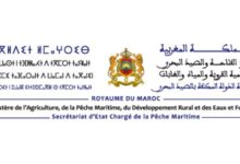 صورة تعزيزاً لمخطط “أليوتيس”.. قرارات وزارية جديدة لضمان الاستدامة في قطاع الصيد البحري