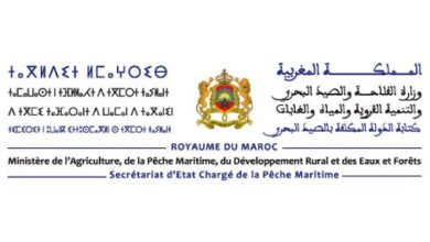 صورة تعزيزاً لمخطط “أليوتيس”.. قرارات وزارية جديدة لضمان الاستدامة في قطاع الصيد البحري
