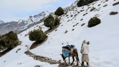 صورة نشرة إنذارية .. أمطار رعدية وثلوج مرتقبة بعدد من أقاليم المملكة ابتداءً من الجمعة