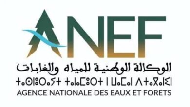 صورة المغرب : غداً الأحد.. “الضوء الأخضر” لهواة الصيد بالمياه البرية