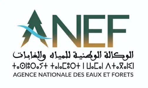 صورة المغرب : غداً الأحد.. “الضوء الأخضر” لهواة الصيد بالمياه البرية