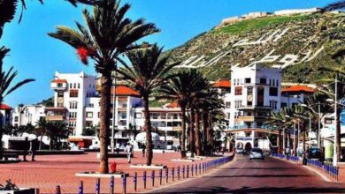 صورة برلين 2026 ..”SMIT” تقود تحركاً استراتيجياً لاستقطاب كبار المستثمرين السياحيين