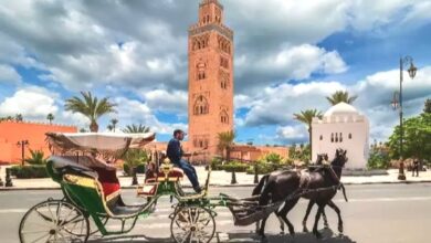 صورة مراكش تتحول إلى أول منصة أفريقية لـ “إيزي جيت” .. دفعة قوية للسياحة المغربية بـ 4 ملايين مقعد