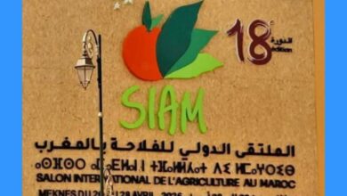 صورة مكناس ..تودع الدورة الـ18 للملتقى الدولي للفلاحة بالمغرب على إيقاع الأرقام القياسية: مليون وزيادة!