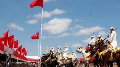 صورة رئيس جماعة السهول ..يشيد بنجاح مهرجان التبوريدة السنوي في ذكرى عيد العرش المجيد
