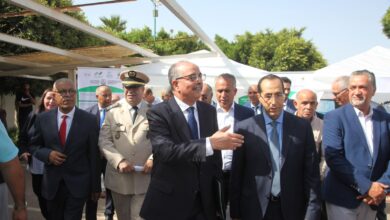 صورة عمالةصخيرات تمارة .. تحتفي بالجالية المغربية بالخارج وتستحضر دورها في أوراش “مغرب 2030”